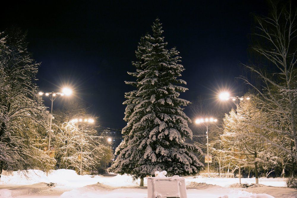 Вечер перед Рождеством