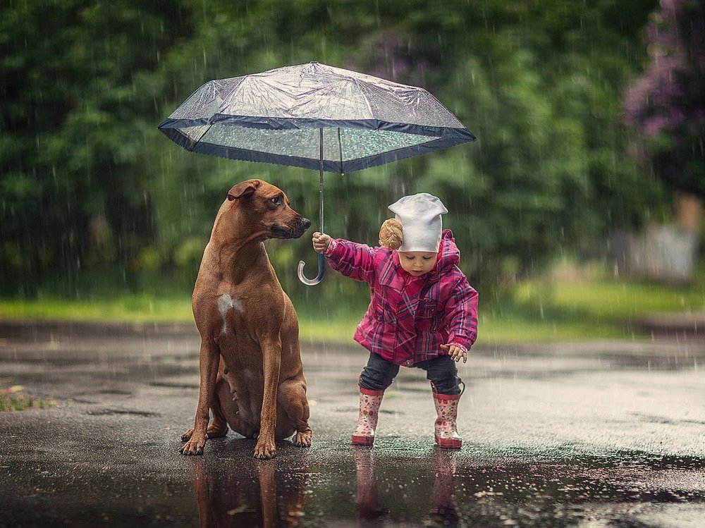 Когда зеркало под ногами или типично Питерская погода ...