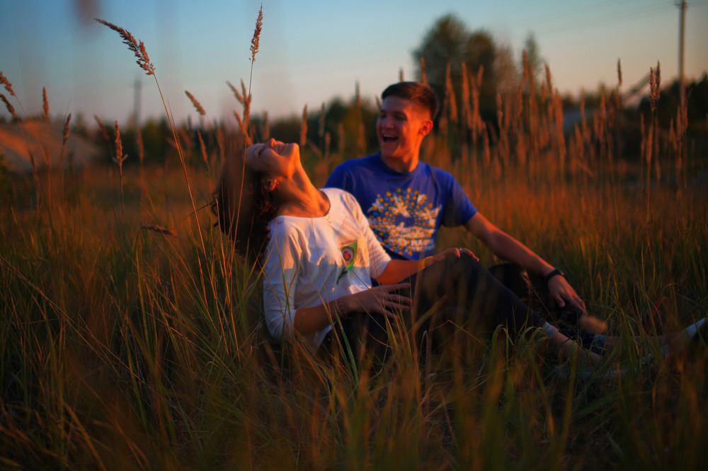 Вечер на опушке