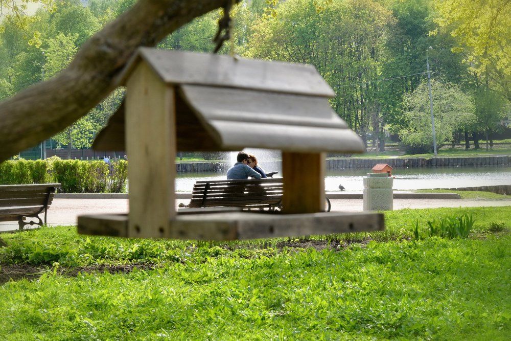 Первый поцелуй