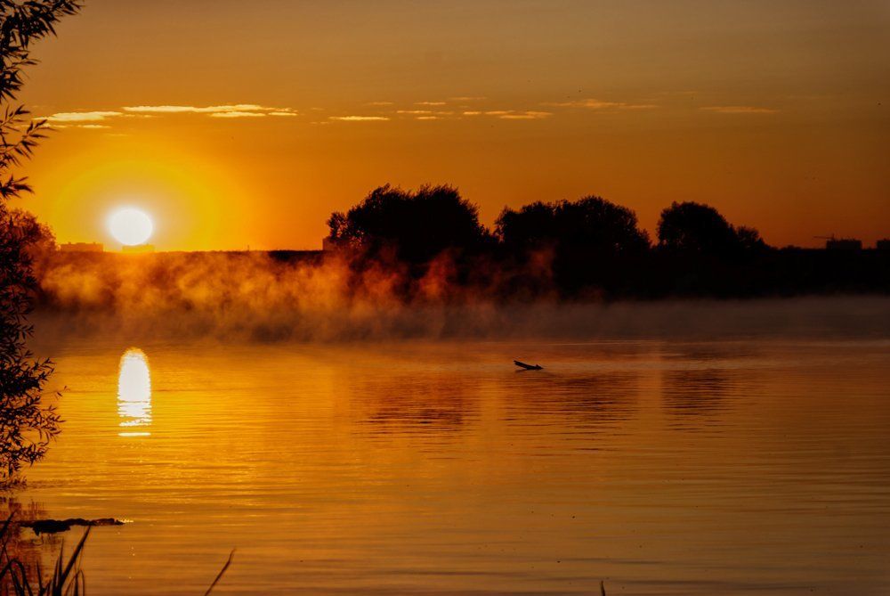 Заря в подмосковье