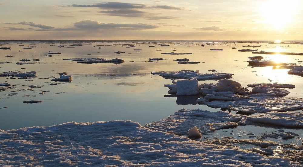 Белое море. Апрель.