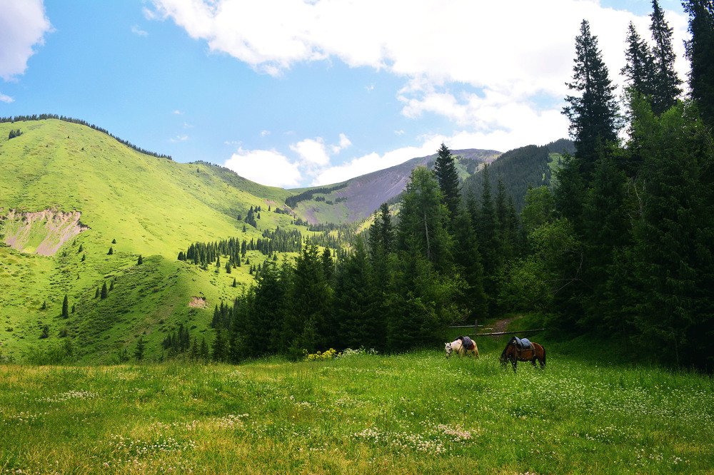 Выйду утром в гору с конем (I'll go uphill with a horse in the morning)