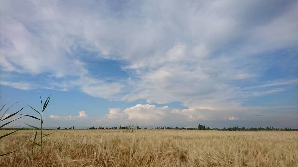 sky