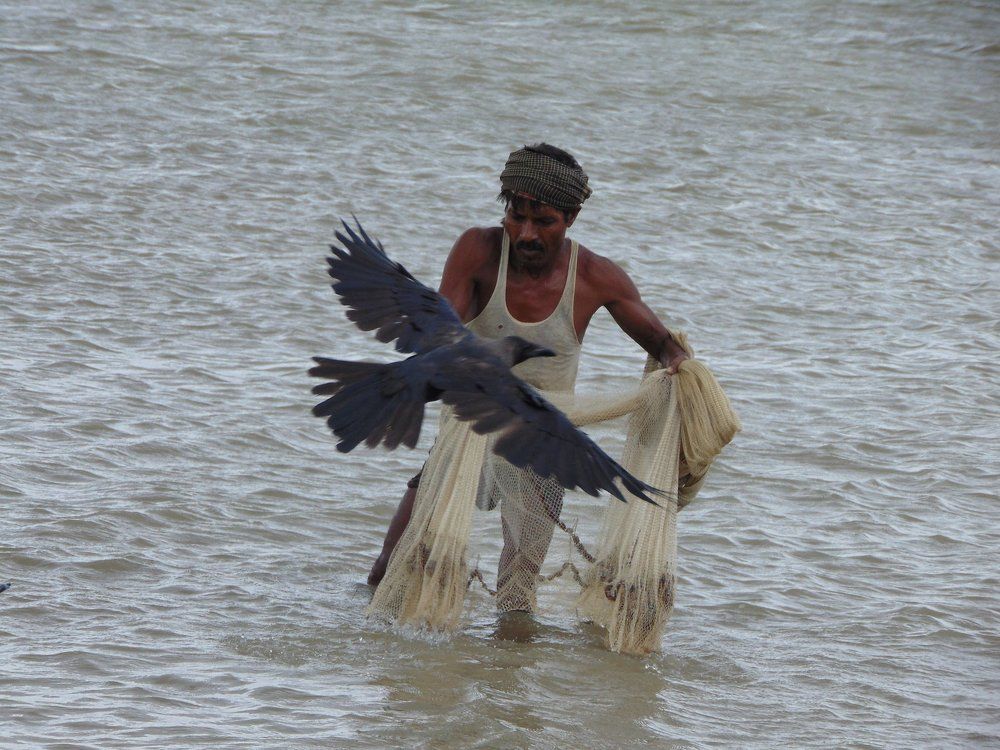 Relationship into fisherman and bird.