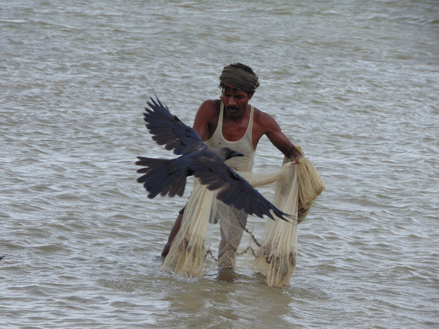 Relationship into fisherman and bird.