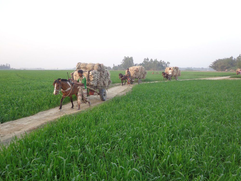 Village green road