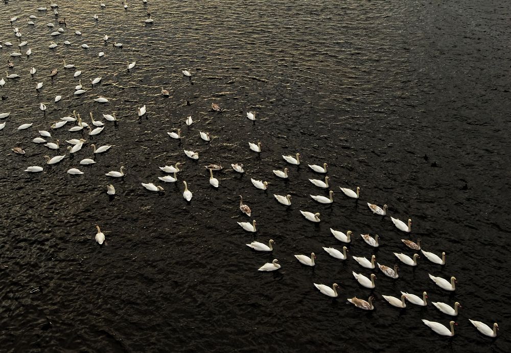 Построение