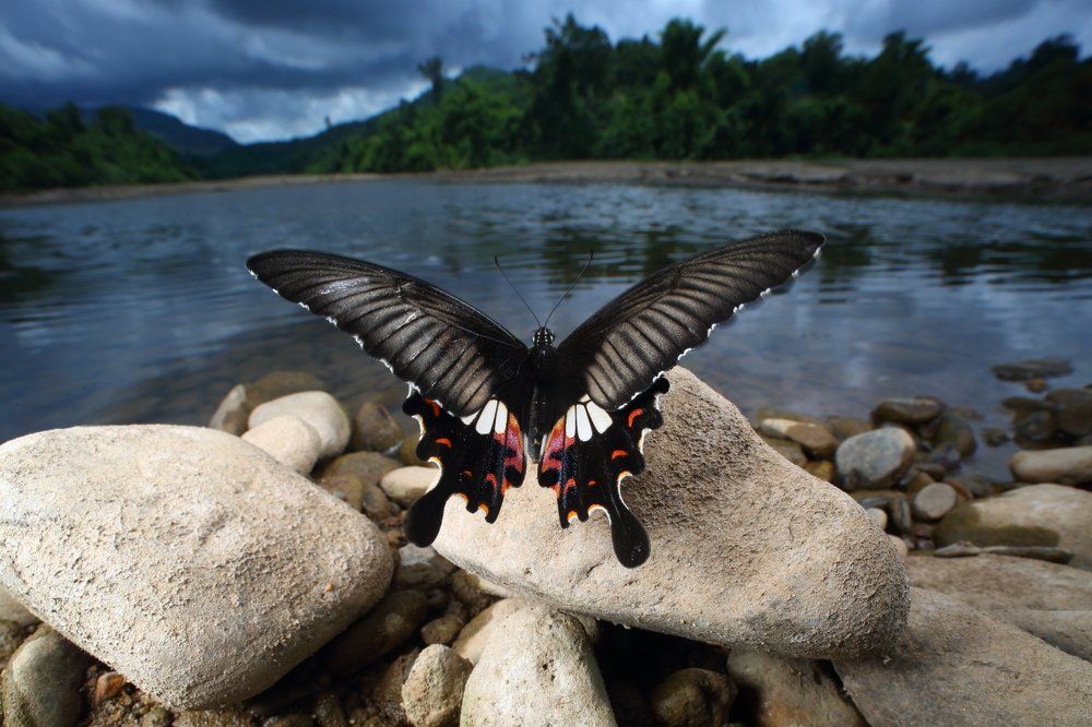 Навстречу стихии