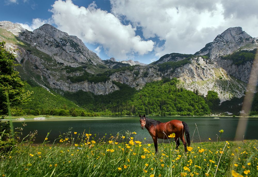 High in the mountain