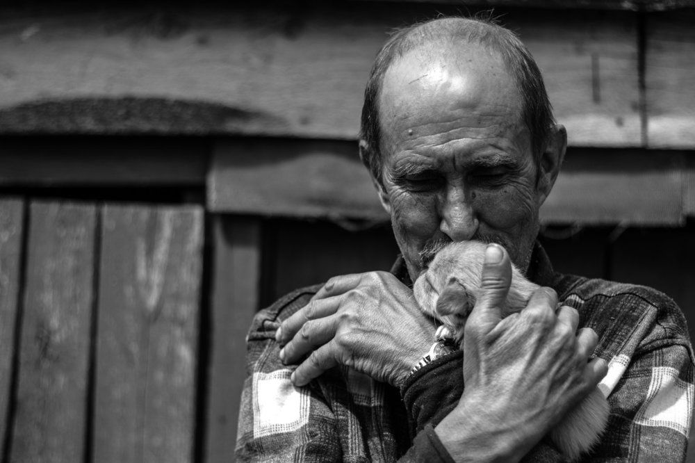 Photograph by Александр