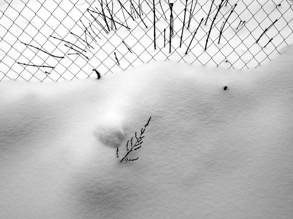 Photograph by Степанов Евгений