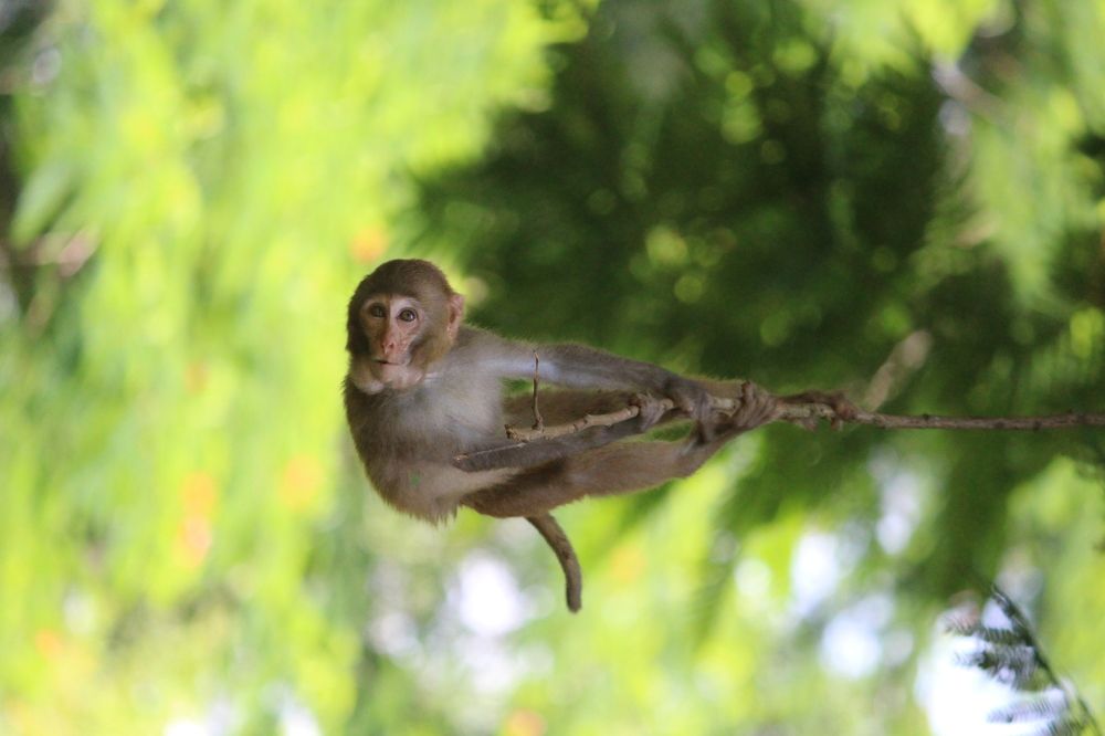 See the World differest perspective