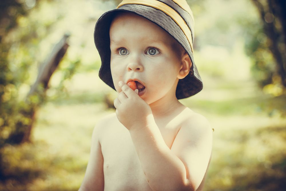 Дачная жизнь