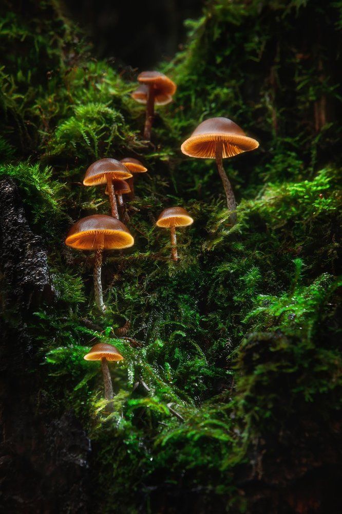 Поехал на дачу, а заодно и...