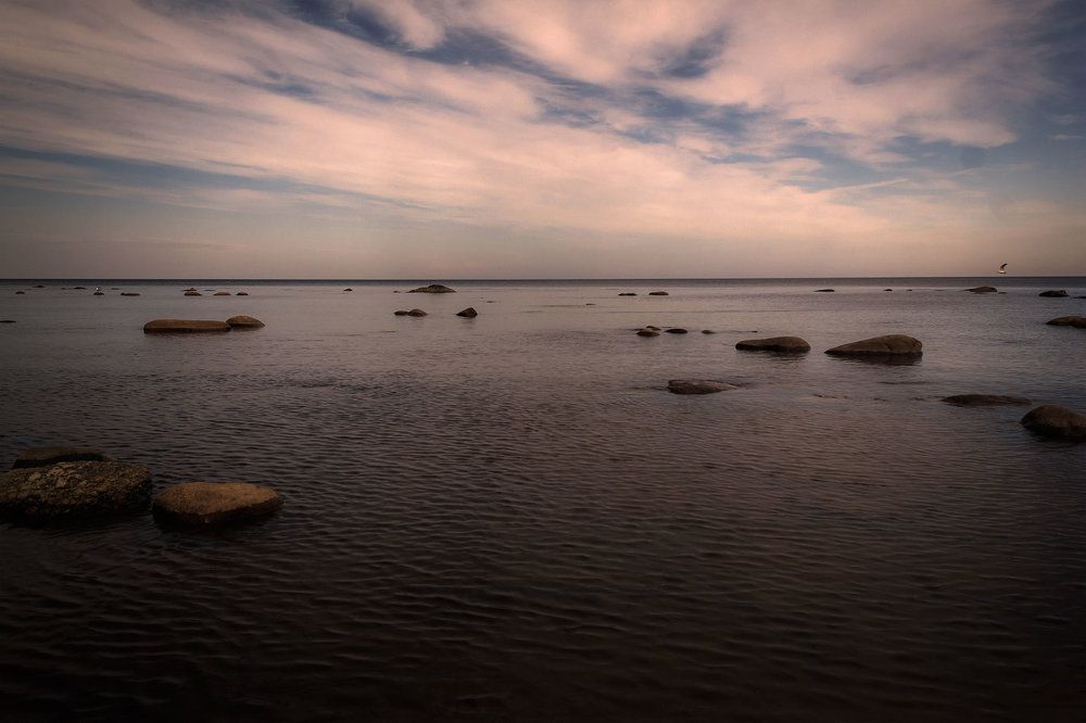 Photograph by Алексей Герасимов