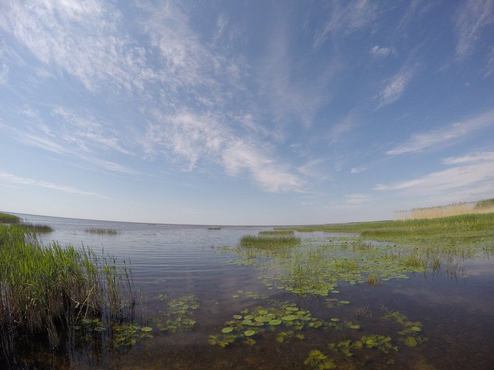 Куршский залив