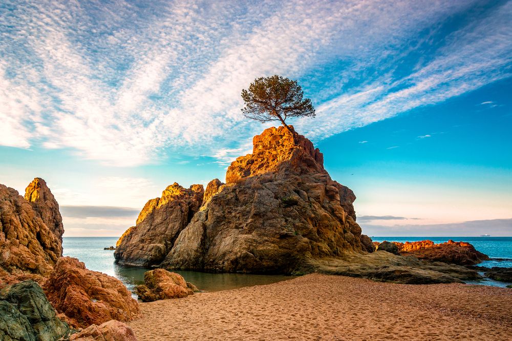 Навстечу солнцу...