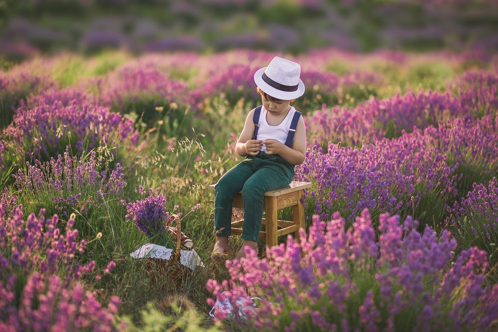 Крымский прованс