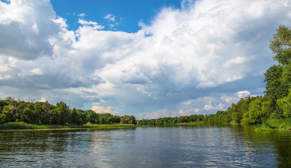 Речной пейзаж