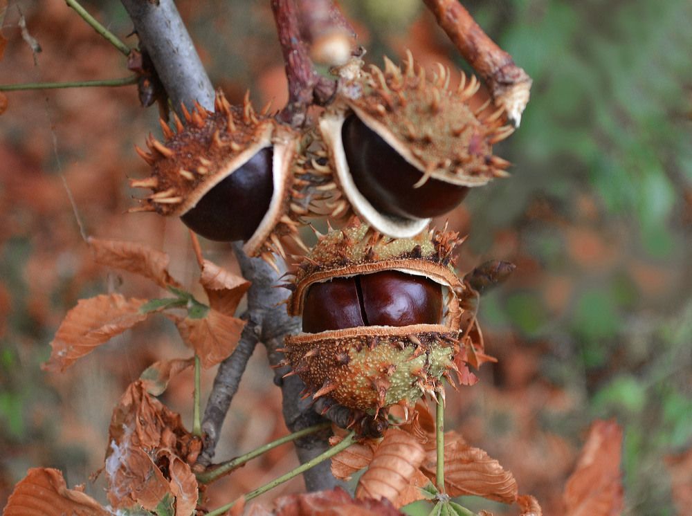 Зачем же так огорчаться?!