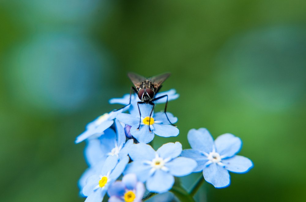 Эти глаза напротив...