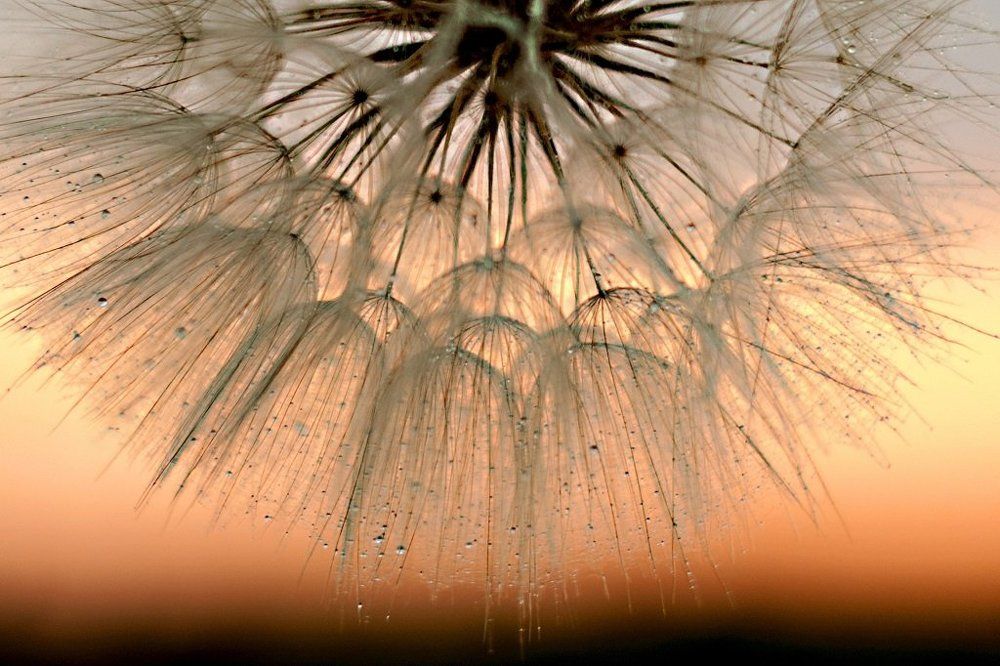 Полусолнце...