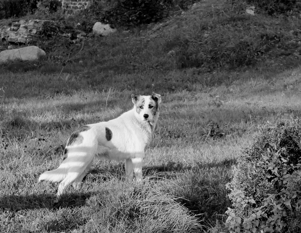 Одиночество