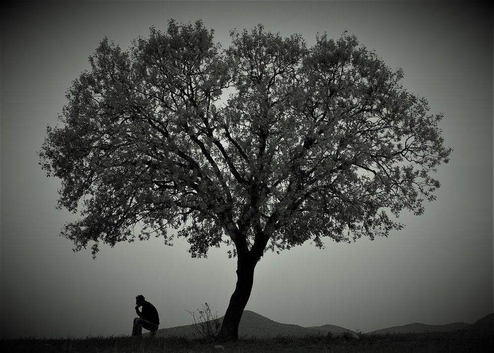 Along man and tree