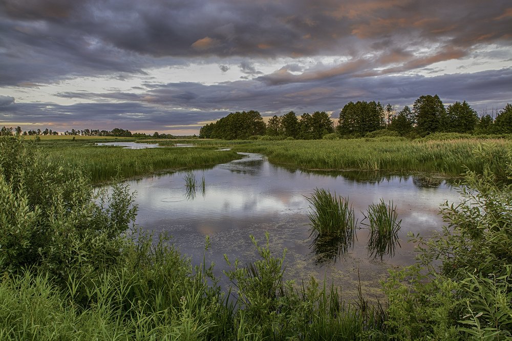 А дальше была гроза