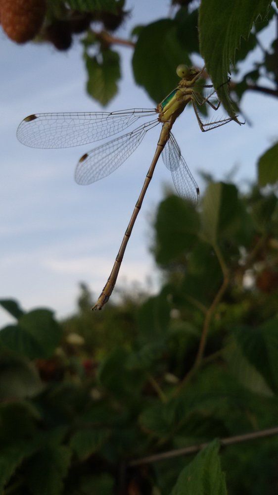 Photograph by Адамова Александра