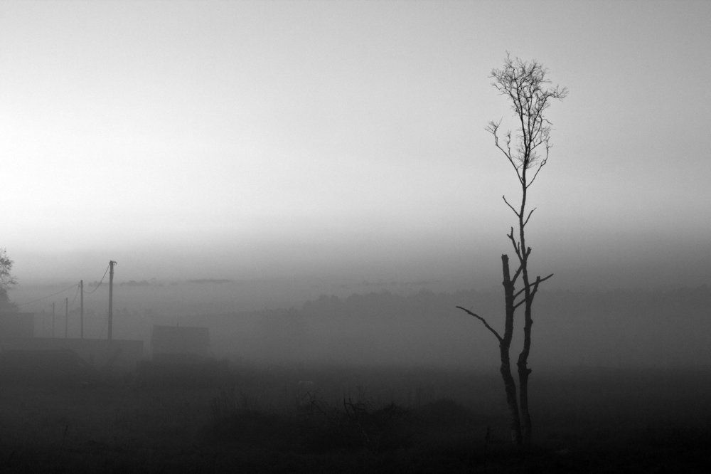 Загородный дзен