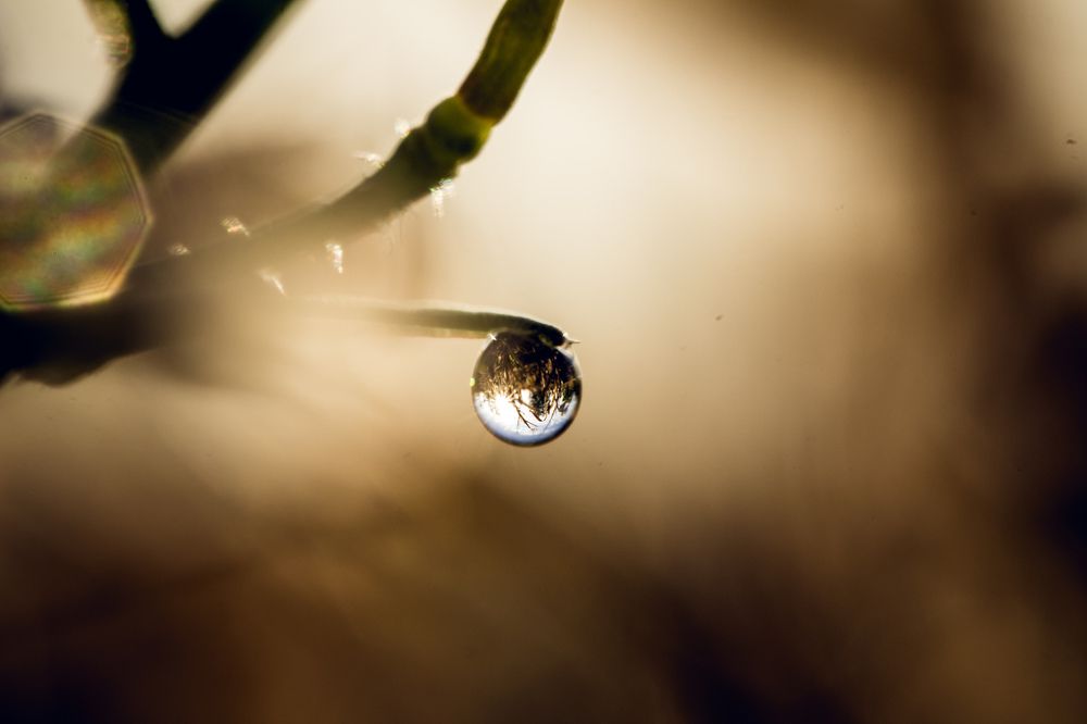 The whole world inside a small drop