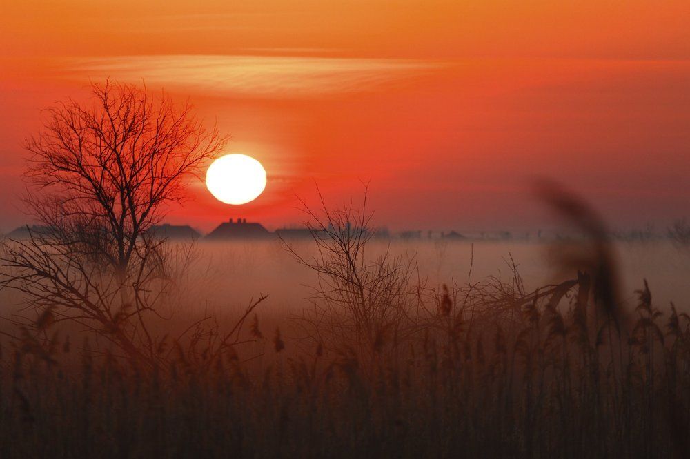 Photograph by Белов Алексей
