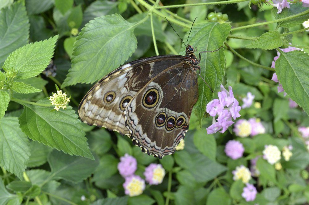 Photograph by Игорь Лебедев
