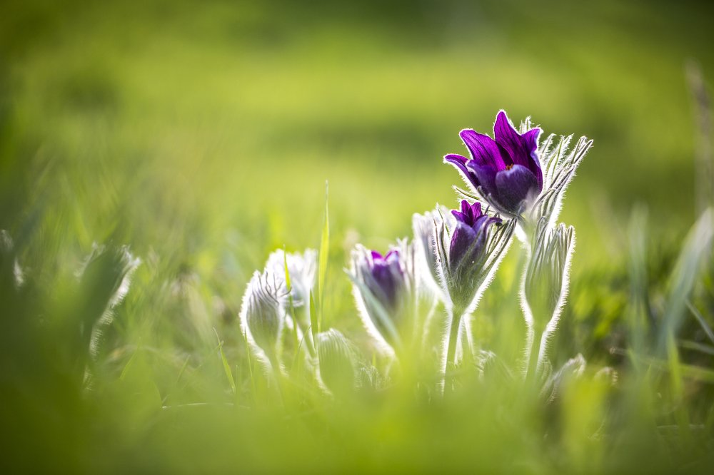 Пробуждение...