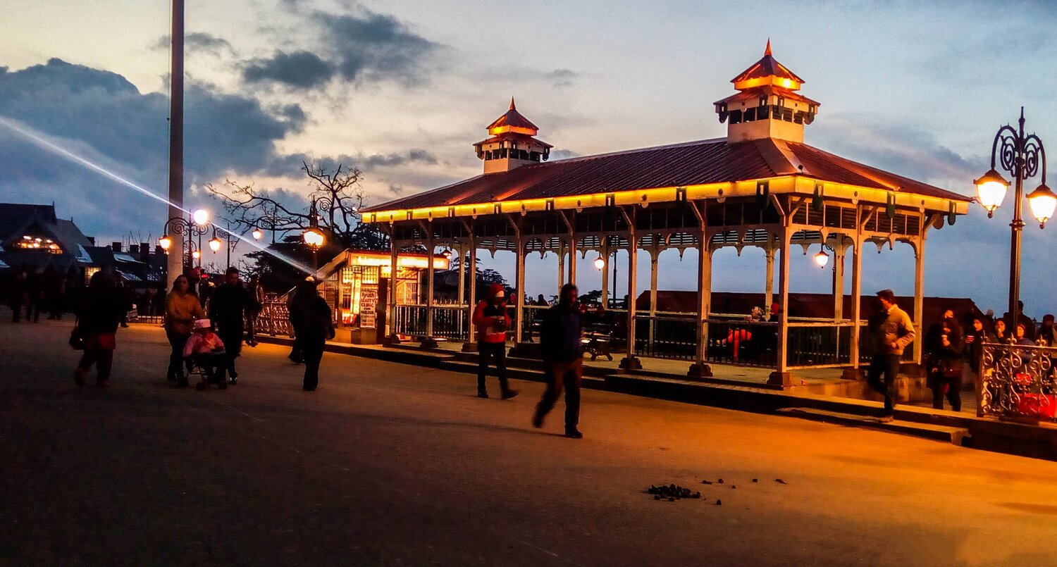 When dusk blooms, serenity grows.