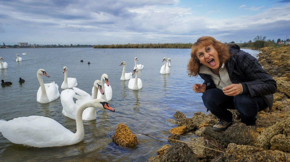 И Лебеди Кусаются