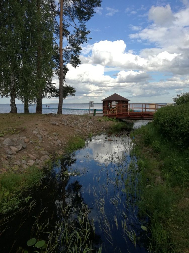 Одинокая бесетка