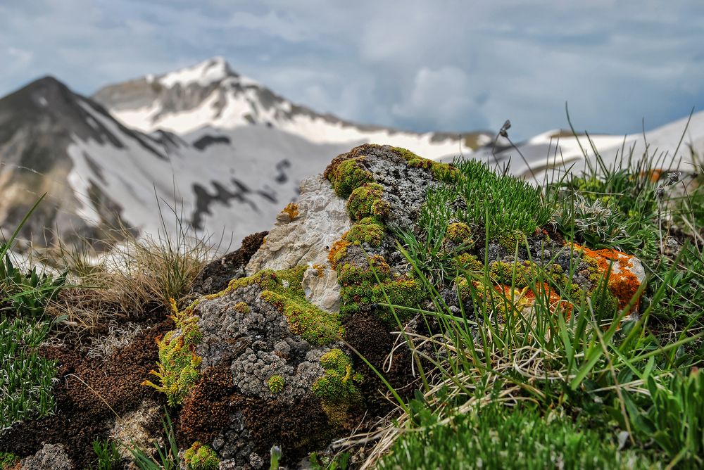 Такие разные вершины.