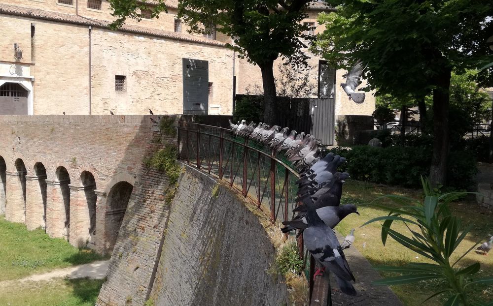 Утренняя летучка