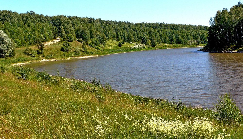 лесное озеро