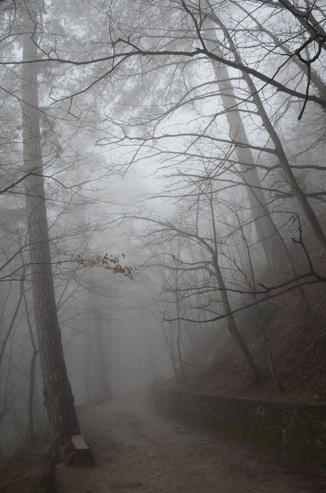 Photograph by Сергей