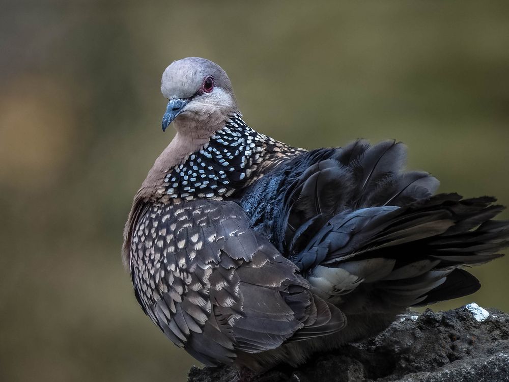 Hi ! What you say !!