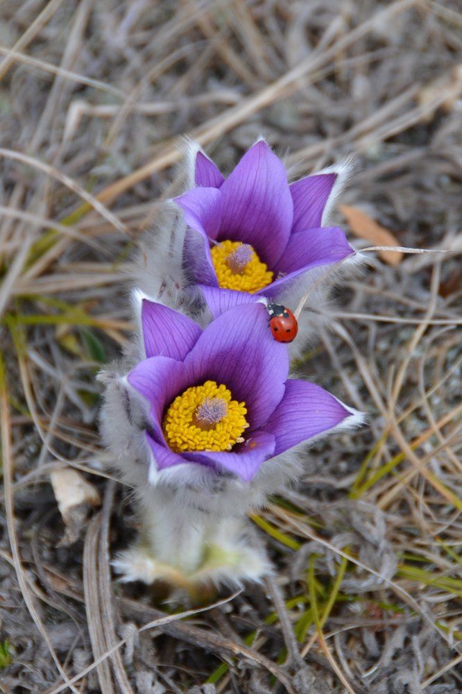 Photograph by Сергей