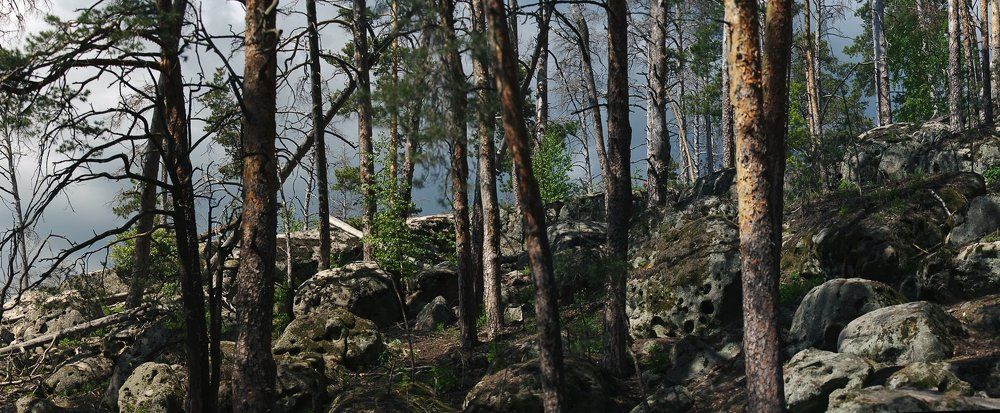 Рачейские Альпы.