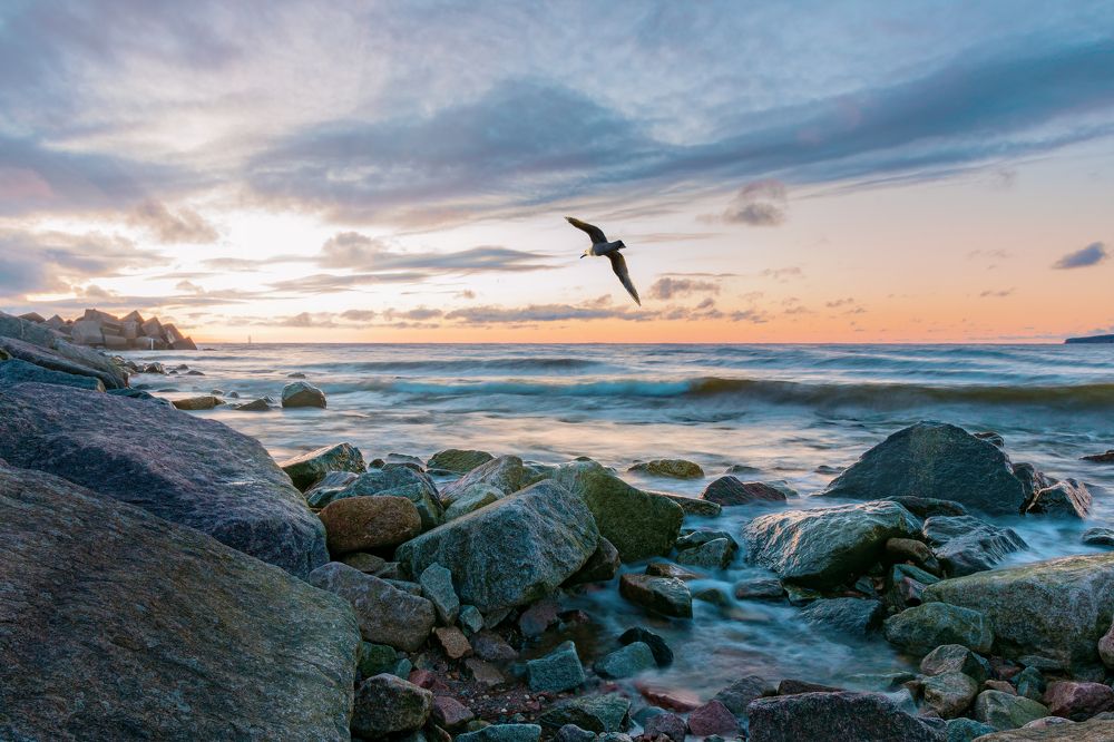 Закат на молу