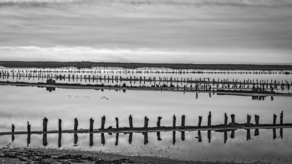 соляные поля