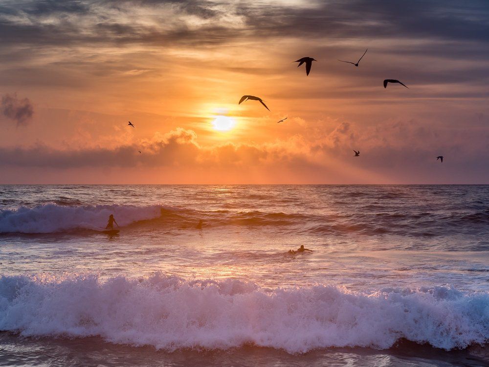 Купаясь в закате