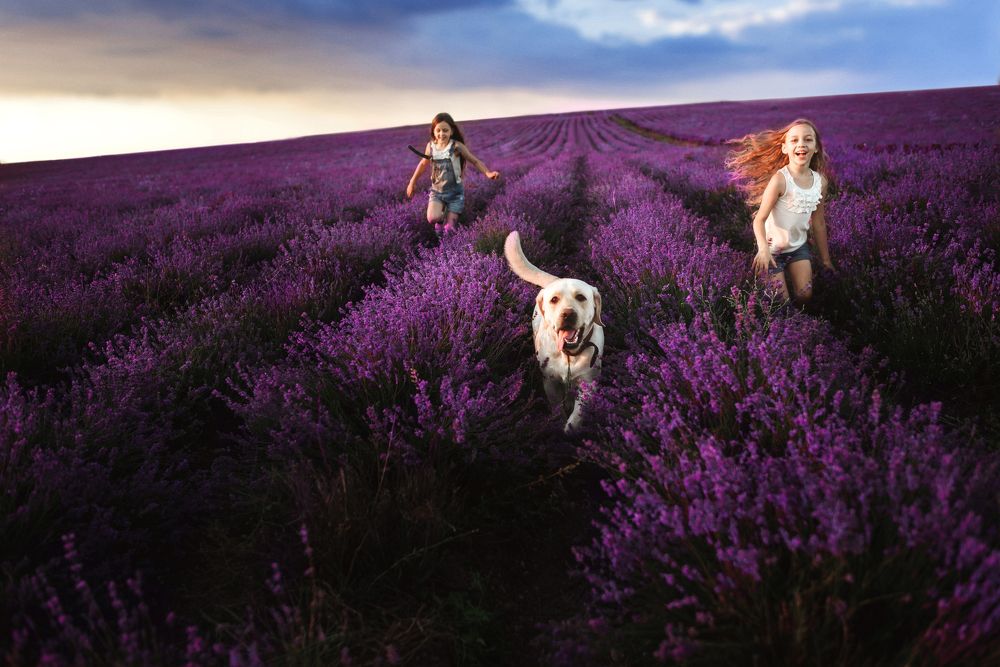 Детство без границ